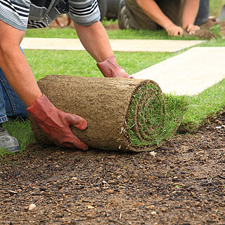 Sod/Seeding & Grading