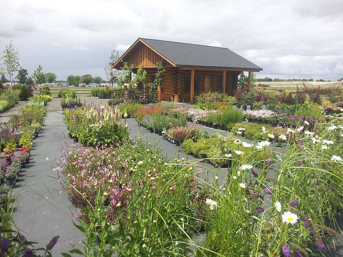 Ace Landscaping Nursery: Walla Walla Location.