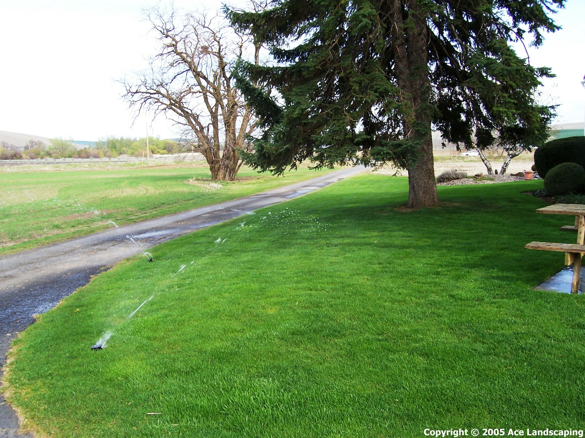 SPRINKLER CONTRACTOR Lawn, Yard and Garden Spriklers