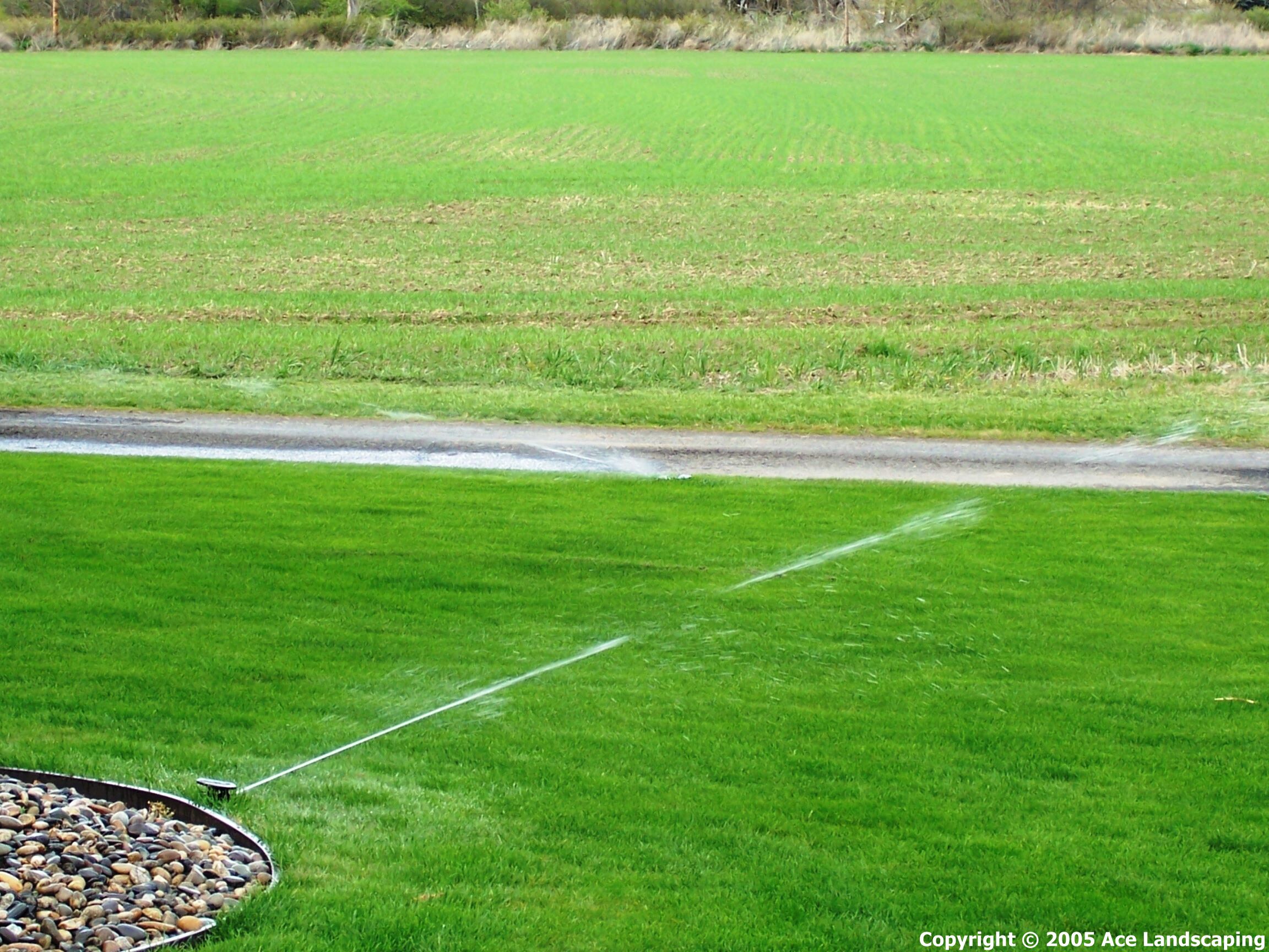 SPRINKLER CONTRACTOR Lawn, Yard and Garden Spriklers