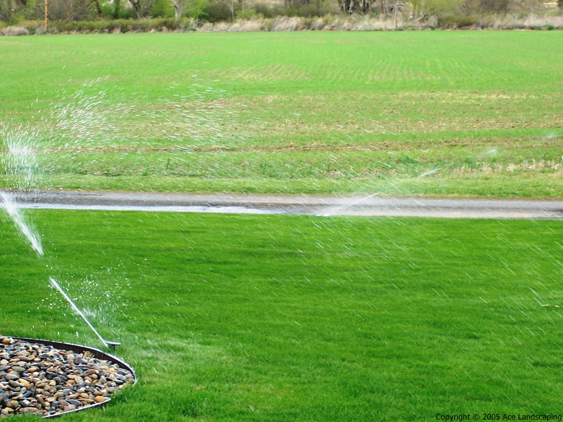 SPRINKLER CONTRACTOR Lawn, Yard and Garden Spriklers