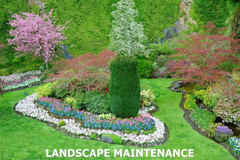 TRICITIES LANDSCAPING Contractor Serving Kennewick