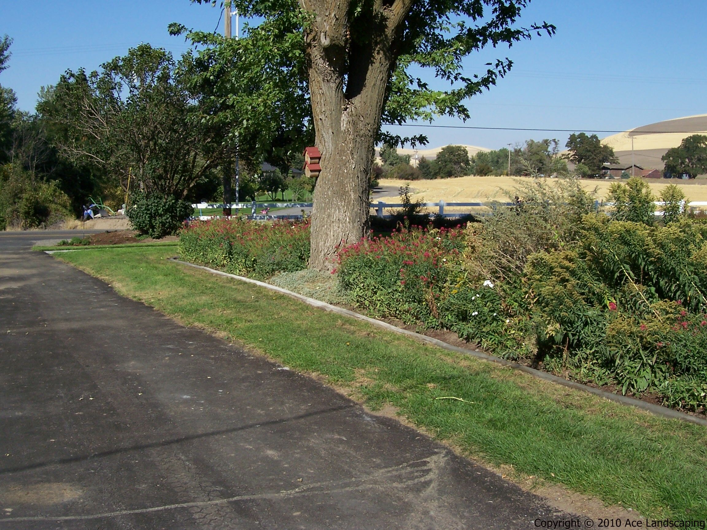CONCRETE CURBING CONTRACTOR Concrete Landscape Edging & Borders