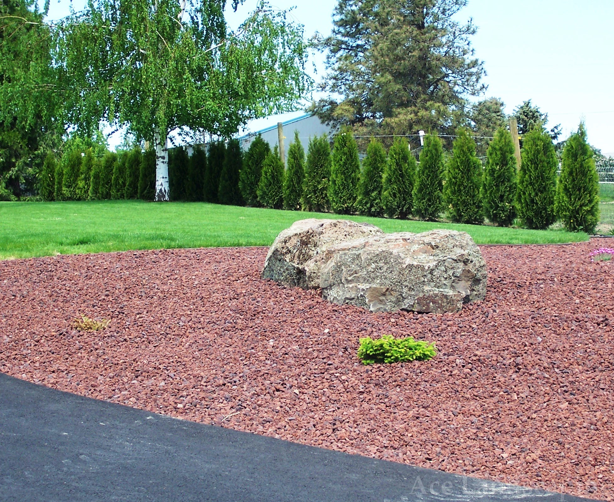 LANDSCAPE MAINTENANCE CONTRACTOR Full Lawn/Yard/Garden Services