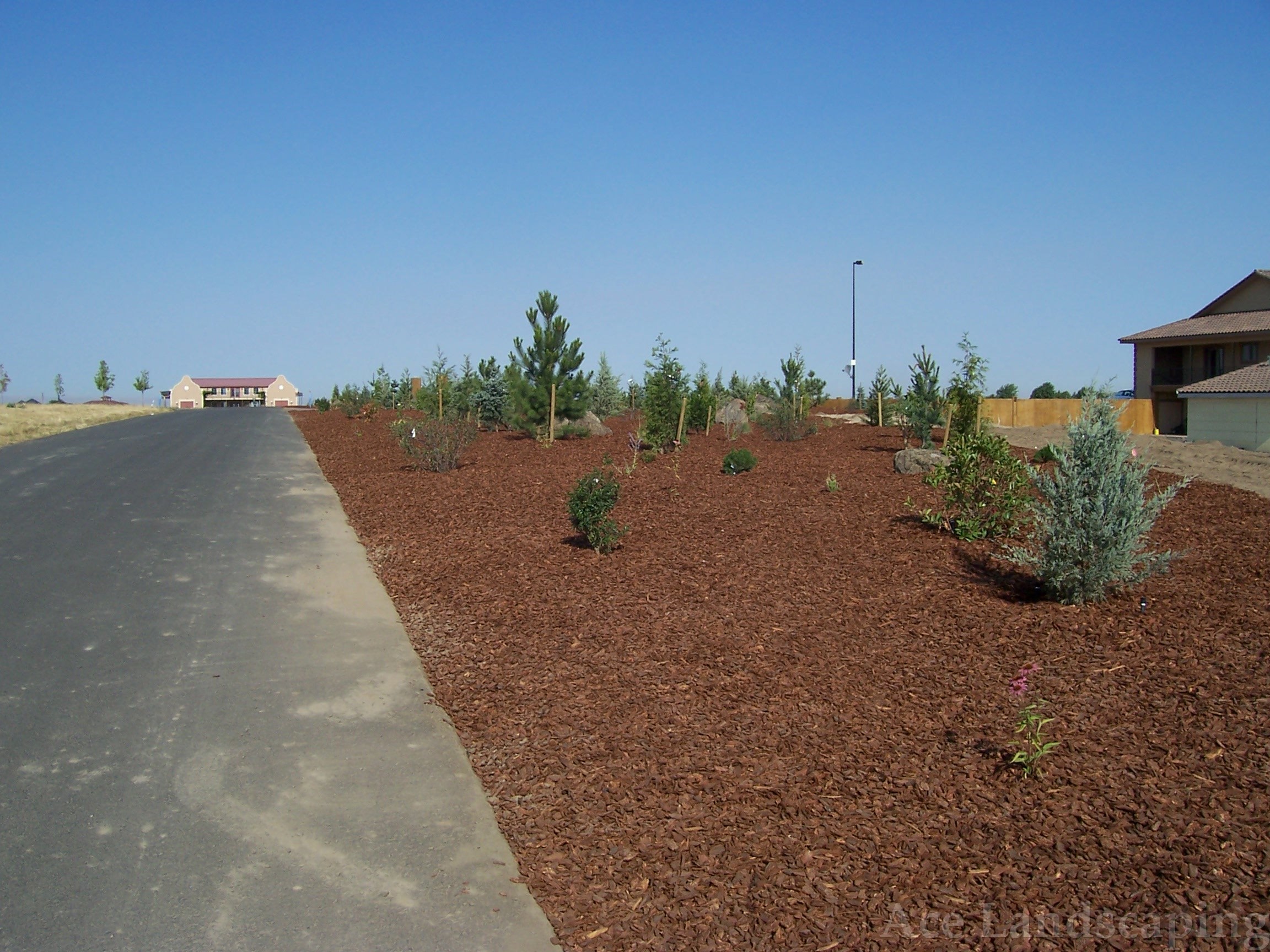 LANDSCAPE MAINTENANCE CONTRACTOR Full Lawn/Yard/Garden Services