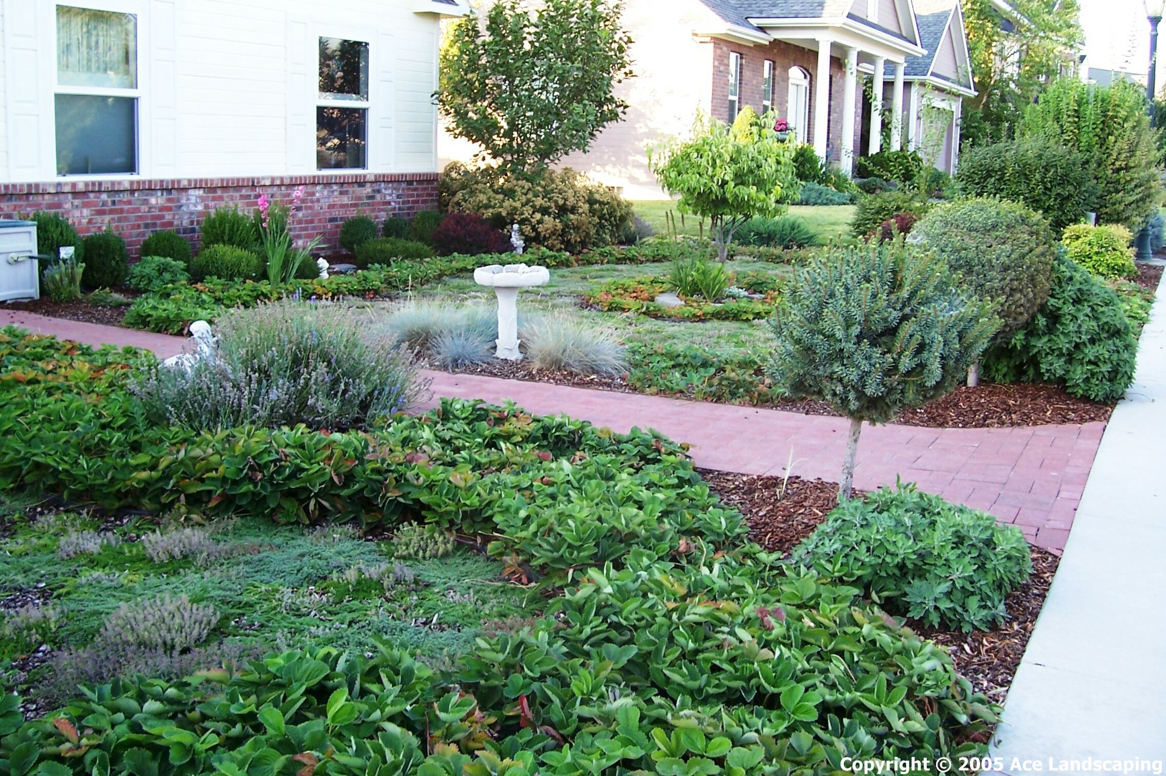 LANDSCAPE MAINTENANCE CONTRACTOR Full Lawn/Yard/Garden Services