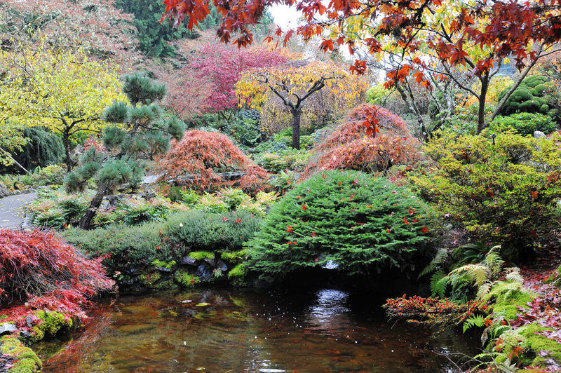 LANDSCAPE DESIGN CONTRACTOR - Landscaping Design & Construction